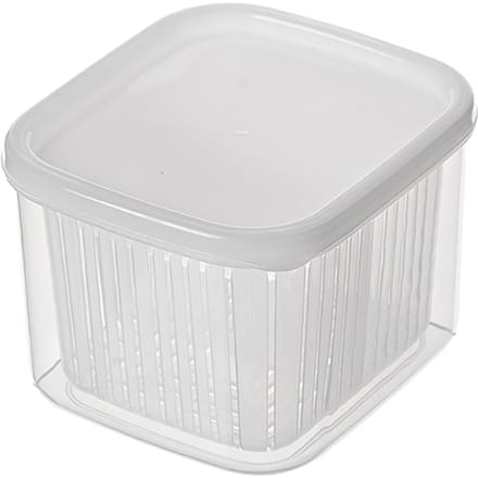 Keuken Product Groente Fruit Opbergcontainer 2 Compartimenten Koelkast Opbergorganizer voor Ui transparant