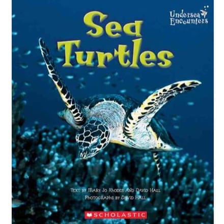 Sea Turtles (Undersea Encounters) - Mary Jo Rhodes