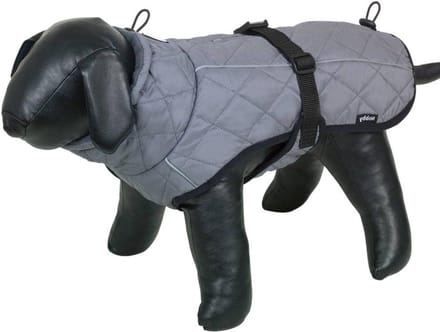 Hondenjas - Winterjas Hond - Bescherming Buiten - Waterdicht Winddicht - 44 cm - Grijs