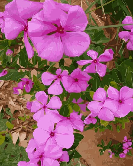 Schilderen op nummer PBN-4007 - Bloemen