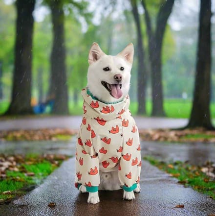 Dog raincoat with legs