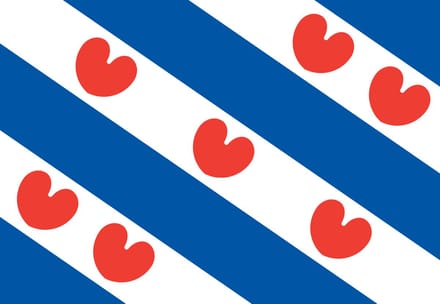 Talamex Friese vlag 20 x 30 cm