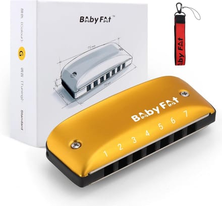 Mini Blues Harmonica Set voor Kinderen en Beginners in G-sleutel