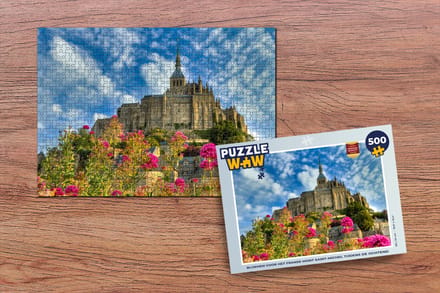 Puzzel Kasteel - Bloemen - Frankrijk - Legpuzzel - Puzzel 500 stukjes