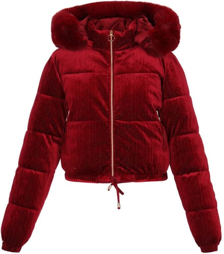 taddy jacket