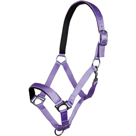 Halster voor paarden HKM Stars