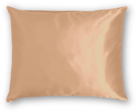 Zijden Kussensloop Desert Nude - 22MM - Silk Heaven - 60x60cm / Ritssluiting