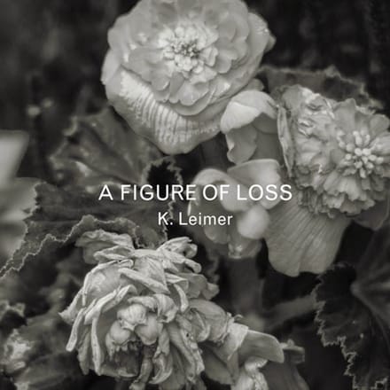 K. Leimer - A Figure Of Loss (CD)