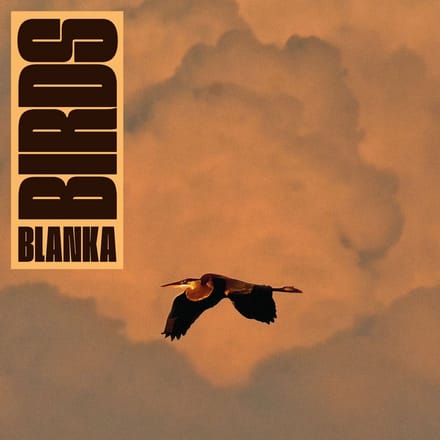 Blanka - Birds (LP)