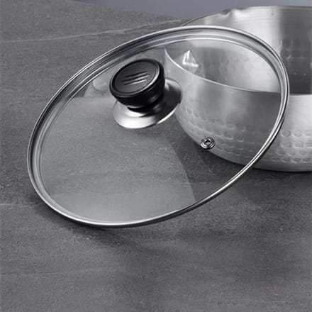 Pan Deksel - Pot Cover - Energiezuinig Koken - Zichtbaar RVS Rand - 20 cm - Transparant