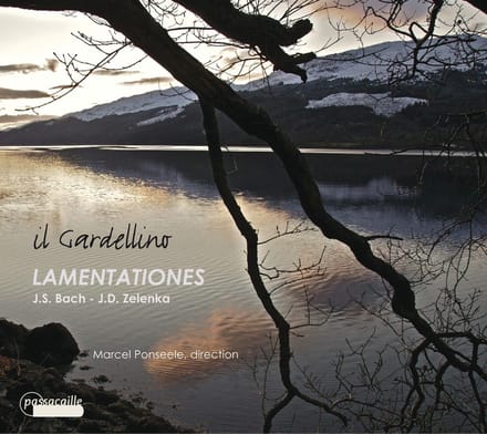 Il Gardellino, Marcel Ponseele - Bach/Zelenka: Lamentations (CD)