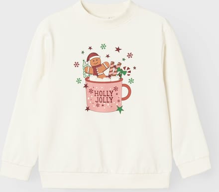 NAME IT NKFRULJUL LS NREG SWEAT BRU BOX Meisjes Trui - Maat 122/128