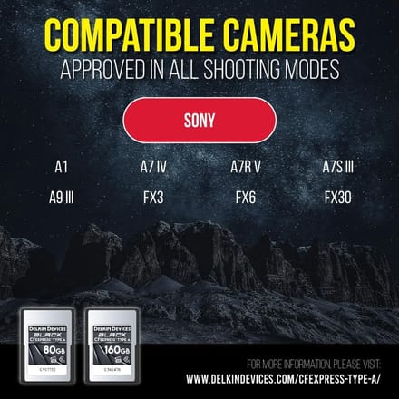 CFexpress Type A Geheugenkaart 160 GB voor Hoge Snelheid Camera's