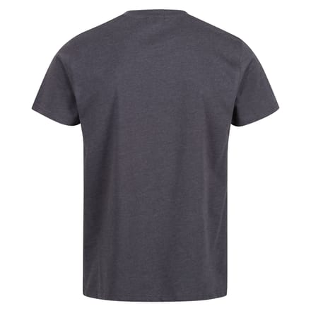 Regatta Heren Pro Cotton Soft Touch T-Shirt (Afdichting Grijs)