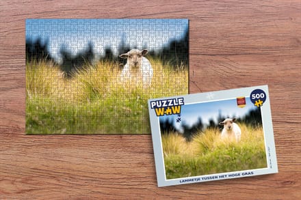 Puzzel Lammetje tussen het hoge gras - Legpuzzel - Puzzel 500 stukjes