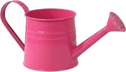 Gieter Buitengebruik - Lange Tuit - Planten Verzorgen - Elegant Functioneel - 1 Liter - Heet Roze