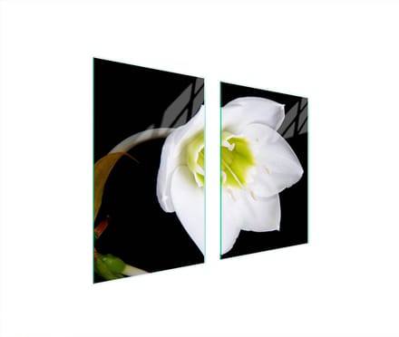 TMK ArtDeko - Snijplank - Orchidee - Glas - 65x52 cm