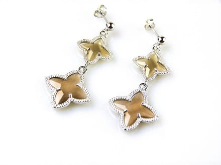 model 2 Stars oorringen in zilver bruine sterren