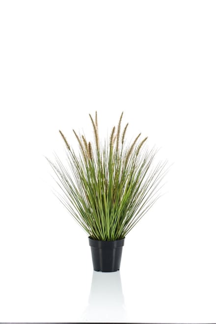 Emerald - Kunstplant Pennisetum Gras 71cm - Kunstplant voor binnen