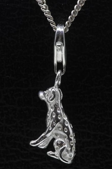 Zilveren Dalmatiër hanger én bedel