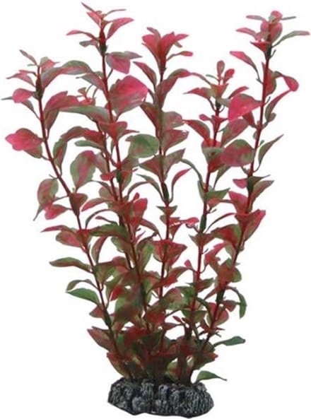 Hobby Plant Ludwigia 60CM
