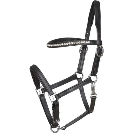 Leren halster voor paarden HorseGuard