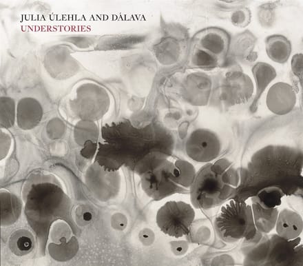 Julia Ulehla & Davala - Understories (CD)