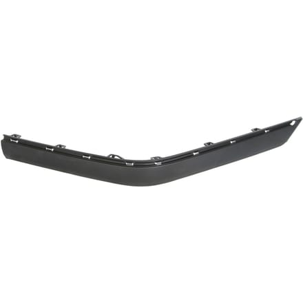 Sierlijst/beschermstrip, bumper BLIC 5703-05-5536976P rechts