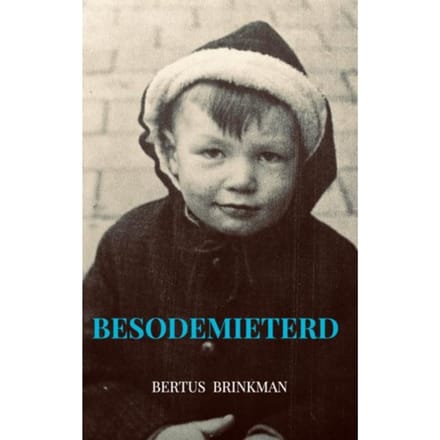 Besodemieterd - Bertus Brinkman