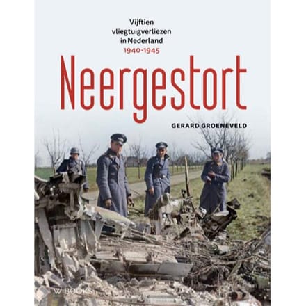 Neergestort - Gerard Groeneveld