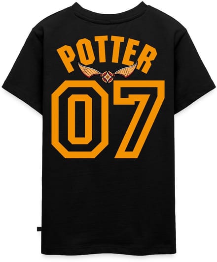 Harry Potter Gryffindor Quidditch Potter Premium T-Shirt Tiener
