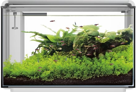 Superfish Home Proled 85 Aquarium - Aquarium - Wit