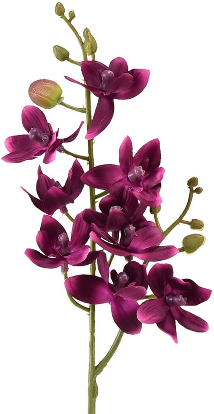 Kleine orchidee Phalaenopsis kunstbloem donkerpaars 30cm