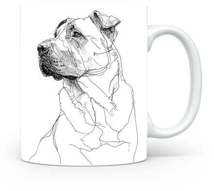 Beker Kangal