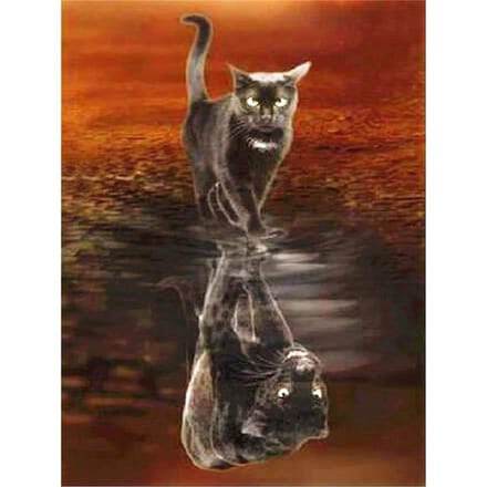 5D Diamond Mozaïek Dier Kat Panter 5D Diamond Painting Kit Diamond Borduren 30X40CM