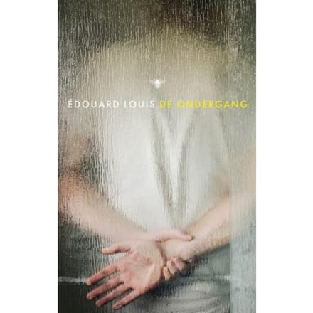 De Ondergang - Édouard Louis