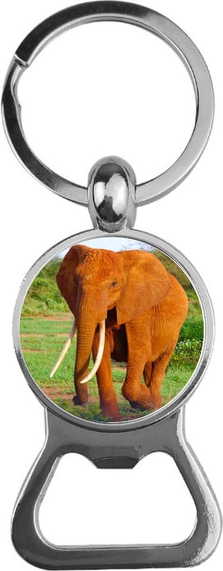 Bieropener Glas - Olifant