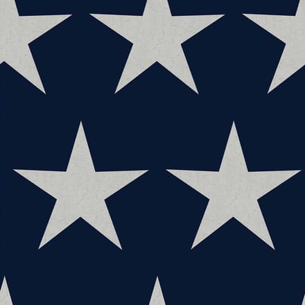 Next vliesbehang Stars Navy 10mx52cm