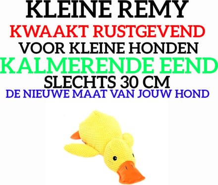 Rustige Remy de Hondenvriend - Knuffel - Eend - Kalmerend - Rustgevend - Maakt eenden geluid - Middel en kleine honden