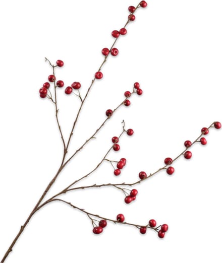 Silk-ka - Kunstbloem - appel - rood - H124 cm