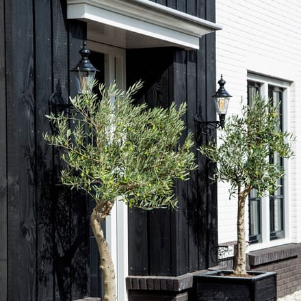 K.S. Verlichting Nostalgische Edam M buitenwandlamp, groen/koper