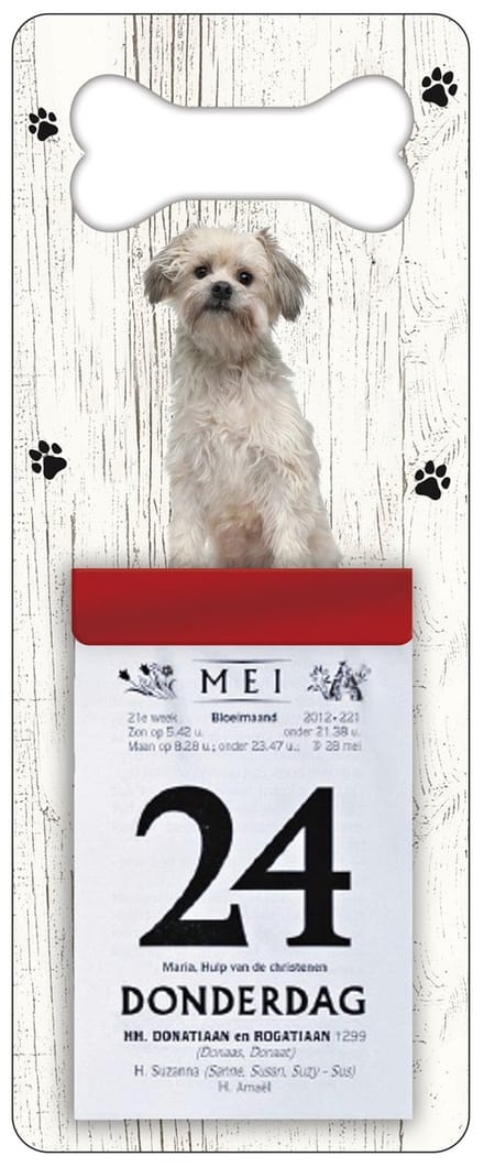 Scheurkalender 2027 Hond: Leeuwhondje