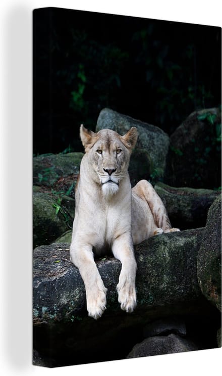 Canvas Schilderij Leeuw - Wilde dieren - Portret - 20x30 cm - Wanddecoratie