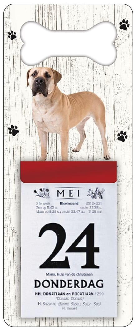 Scheurkalender 2027 Hond: Boerboel