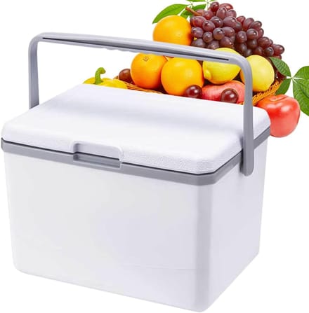 Koelbox - Campingkoeler - Buitenactiviteiten - Langdurige isolatie - 5 Liter - Wit