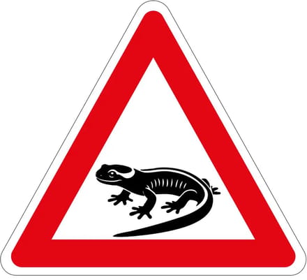 Pas op overstekende salamanders sticker | 10 cm