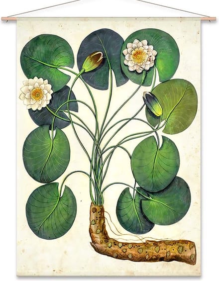 Wanddoek Waterlelie (zonder houten stokken)