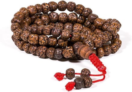 Mala gepolijste Rudraksha 108 Kralen (Model 2)
