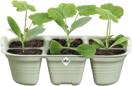 Elho Green Basics Seed Tray 22cm Accessoire - Steengroen
