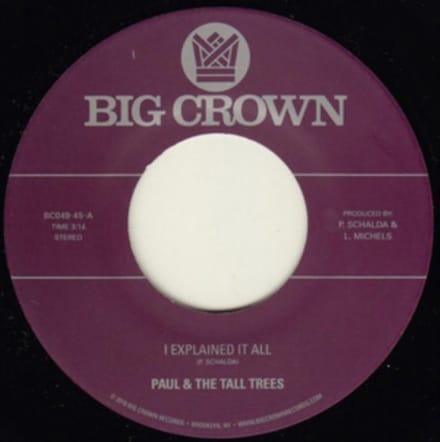 Paul & The Tall Trees & Mattison - I Explained It All (7" Single)